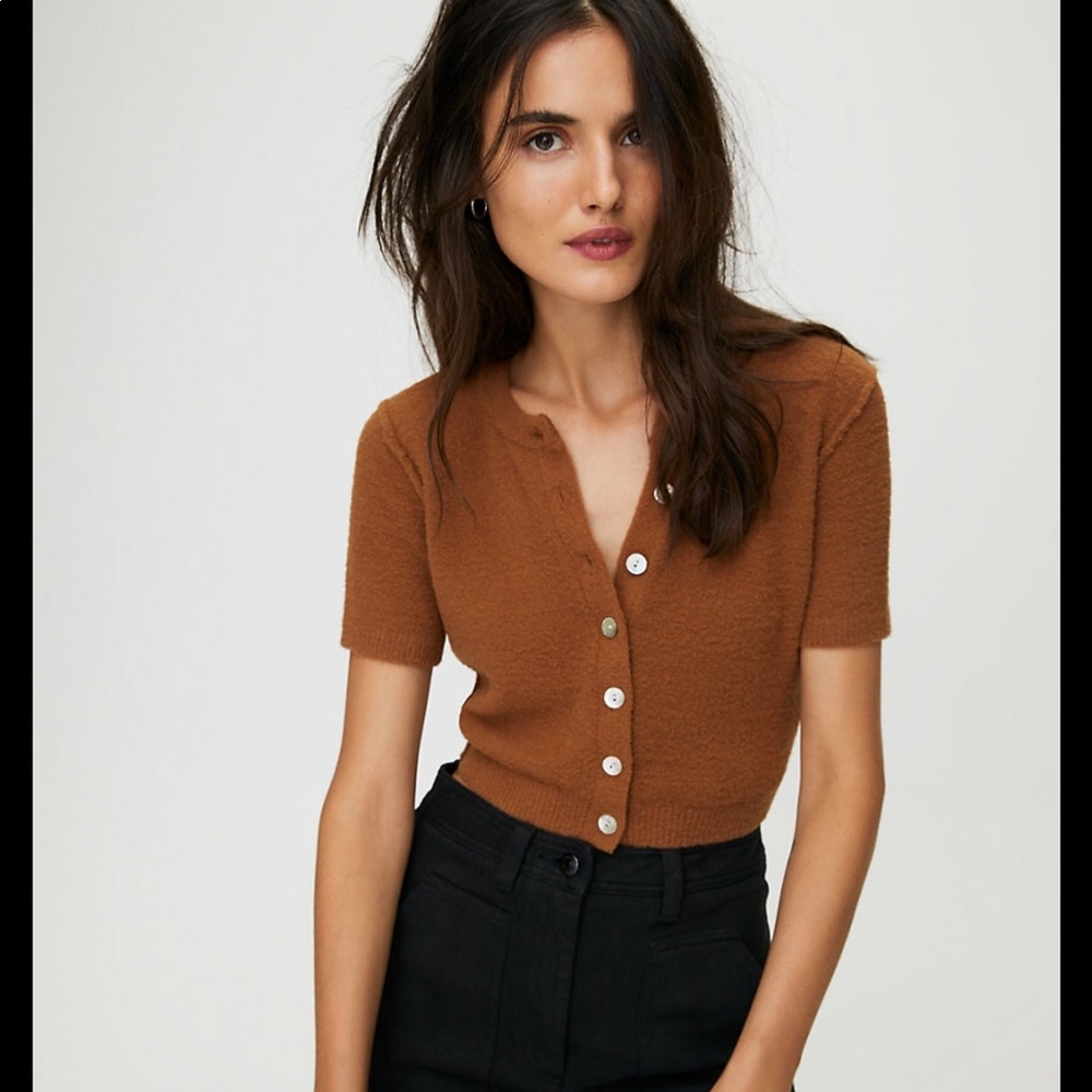 ARITZIA CROPPED WOOL SWEATER
